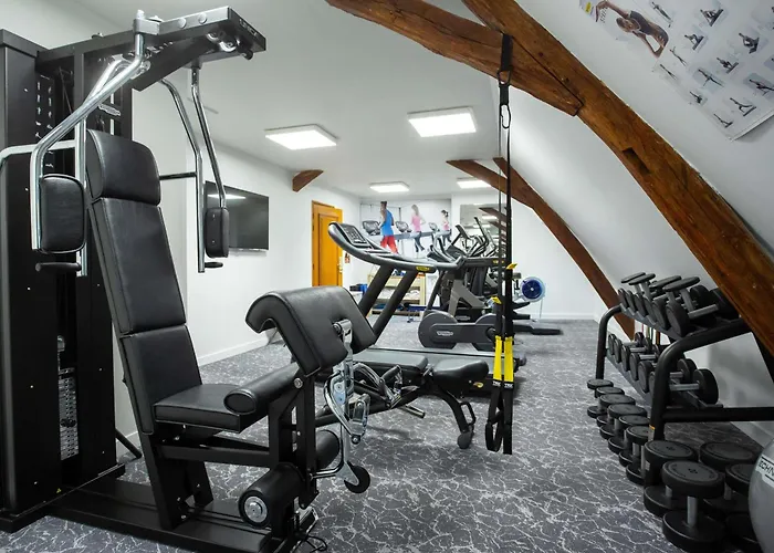Hotel De Bourbon Grand Hotel Mercure Bourges